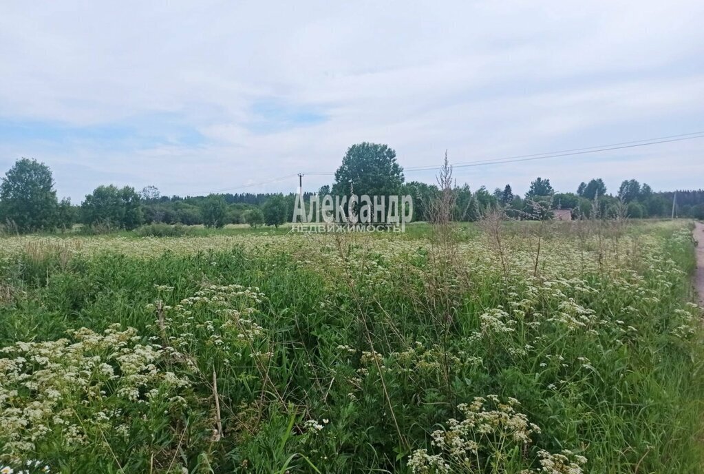 земля р-н Выборгский п Селезнево проезд 3-й Полевой Селезнёвское сельское поселение фото 3