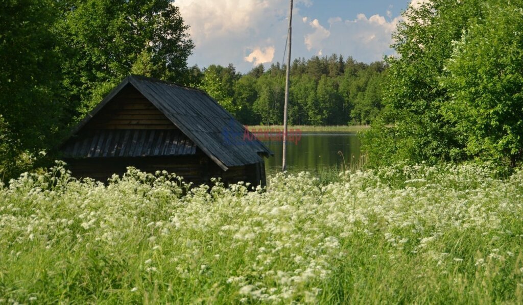 земля р-н Лужский д Островно Волошовское сельское поселение фото 7