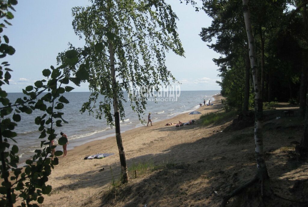 дом р-н Всеволожский д Коккорево Рахьинское городское поселение, 6 фото 10