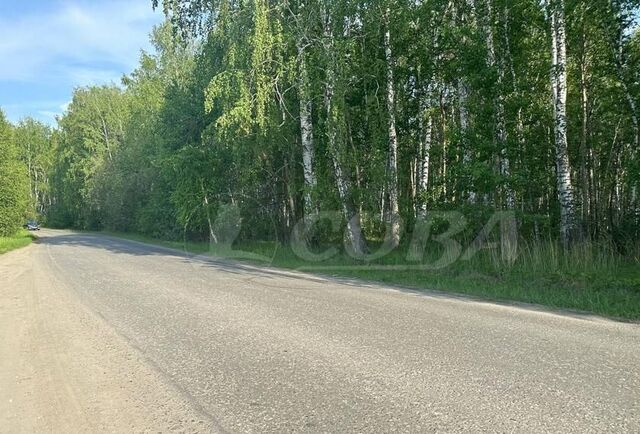 р-н Центральный общество Поляна, садовое фото