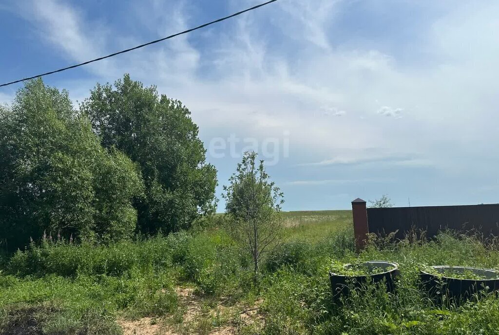 земля городской округ Коломенский д Верхнее Хорошово городской округ Коломна фото 4