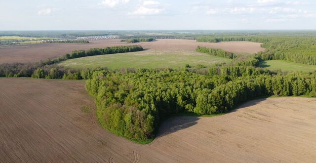 с Ненашево ул Кирова Новогуровский фото