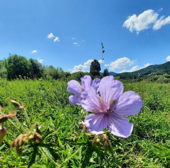 земля г Бийск фото 27