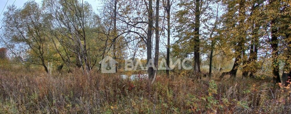 дом р-н Камешковский с Горки муниципальное образование Второвское, Камешково фото 28