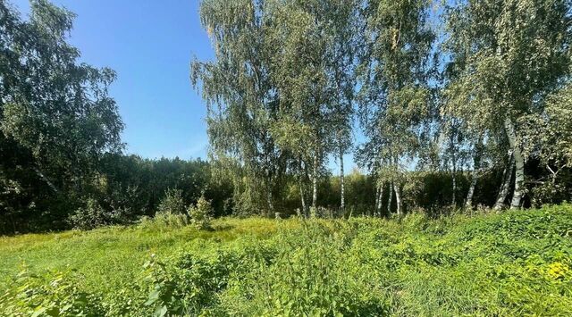 д Благовещенка Химки городской округ фото