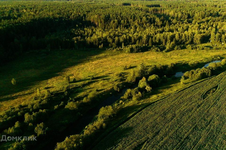 земля городской округ Щёлково Коттеджный посёлок «Море» фото 4