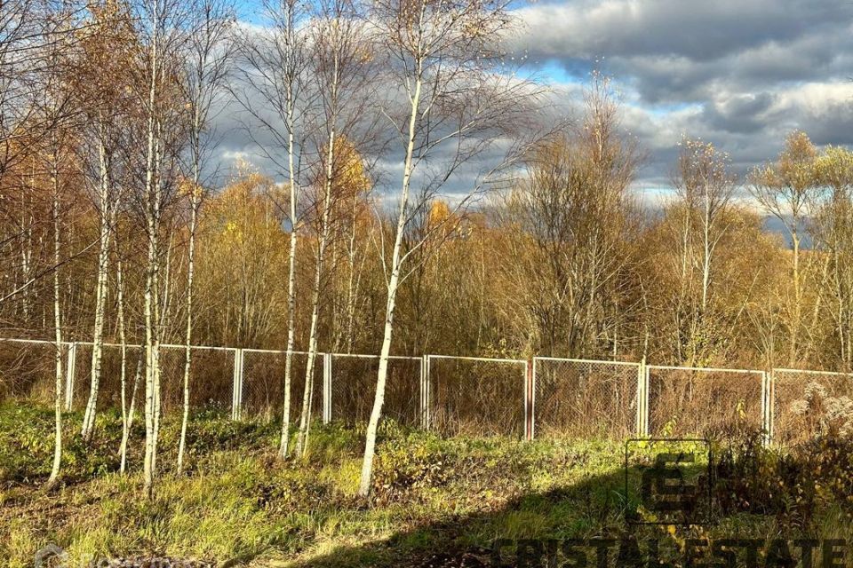 дом городской округ Одинцовский с Введенское 49, Домодедово городской округ фото 4