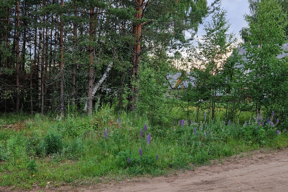 земля р-н Лодейнопольский городской посёлок Свирьстрой, улица 1 Мая, 11 фото 5