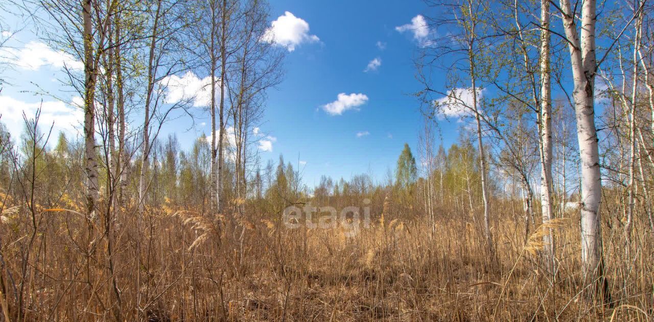 земля р-н Нижнетавдинский снт Моторостроитель фото 9