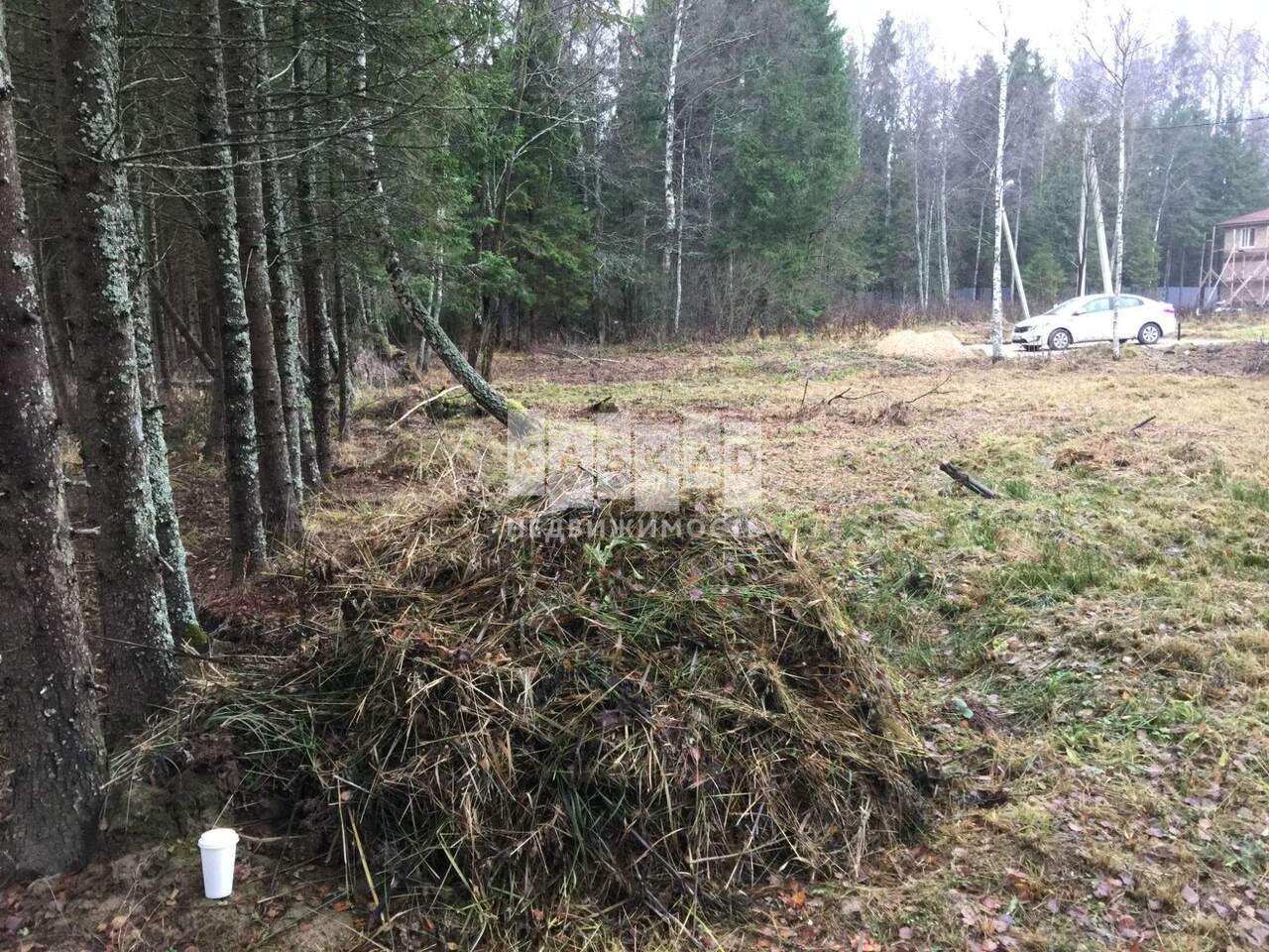 земля городской округ Волоколамский д Щекотово товарищества собственников недвижимости Мартово территория, Новорижское шоссе фото 12