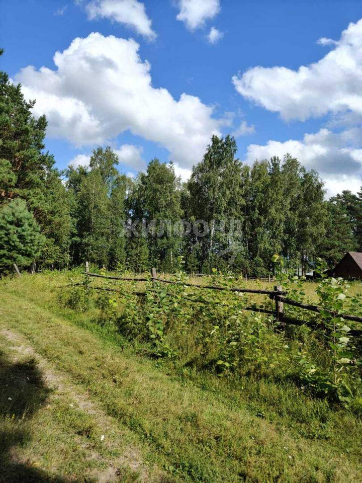 земля р-н Томский с Курлек ул Трактовая фото 2