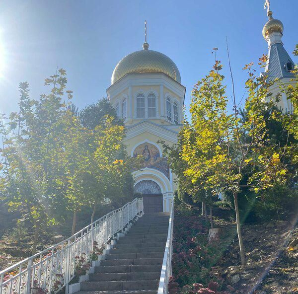 земля р-н Неклиновский с Покровское с пос, Крокус садоводческое товарищество, Мясниковский район фото 4