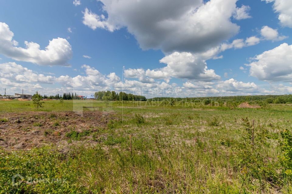 земля р-н Тюменский с Успенка ул Молодежная 8 фото 3