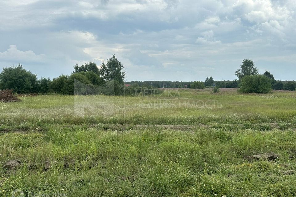 земля р-н Нижнетавдинский деревня Штакульская фото 2