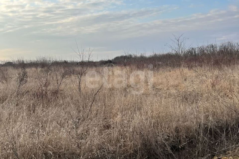 земля р-н Аксайский фото 1