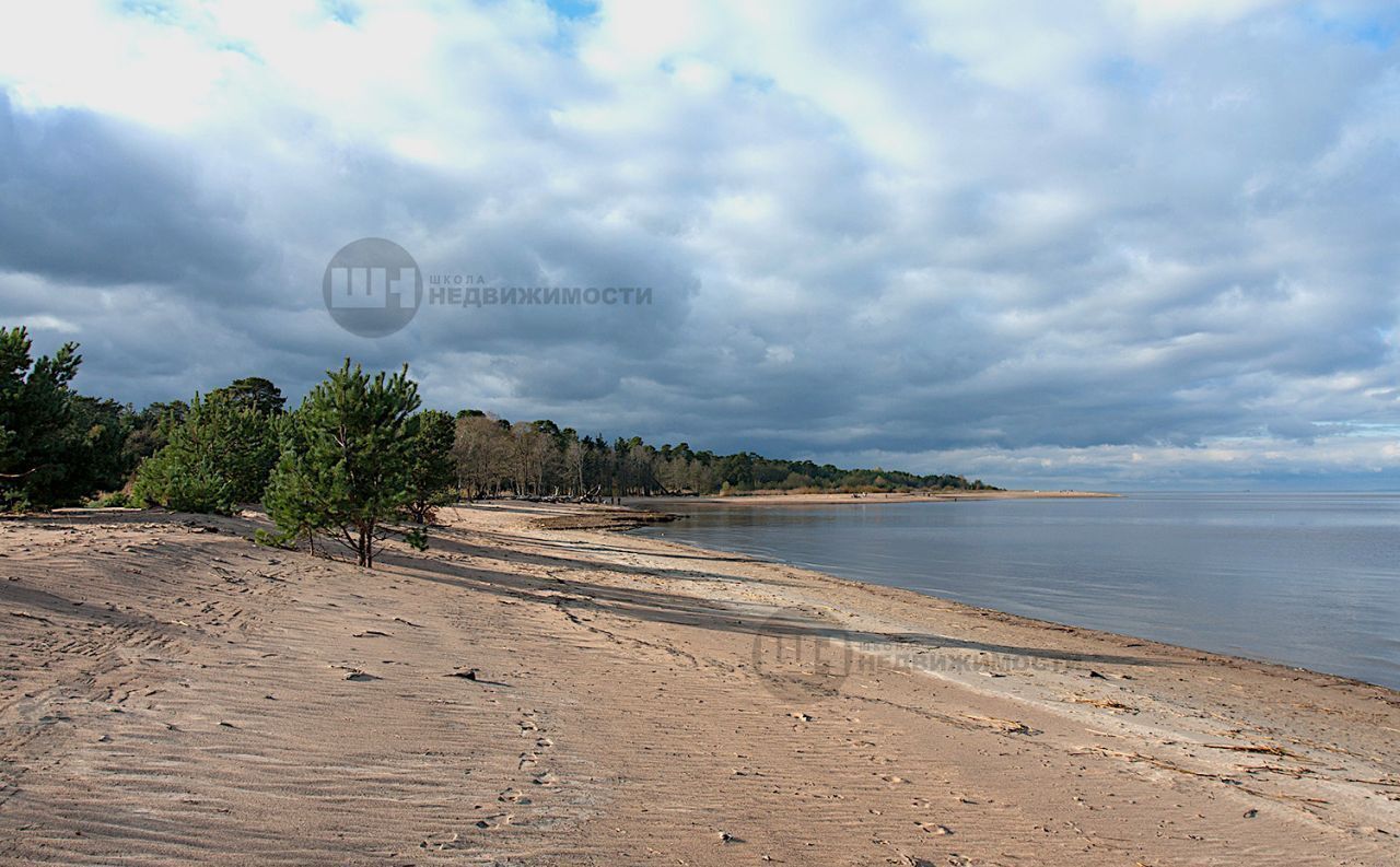 земля р-н Ломоносовский п Лебяжье Лебяженское городское поселение, городской пос. Лебяжье фото 4