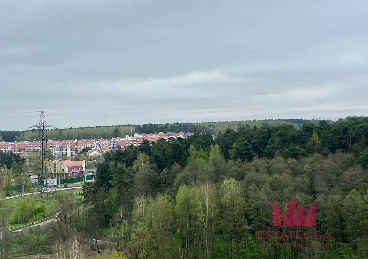 квартира городской округ Ленинский п Лопатино ул Сухановская 30 Видное фото 6