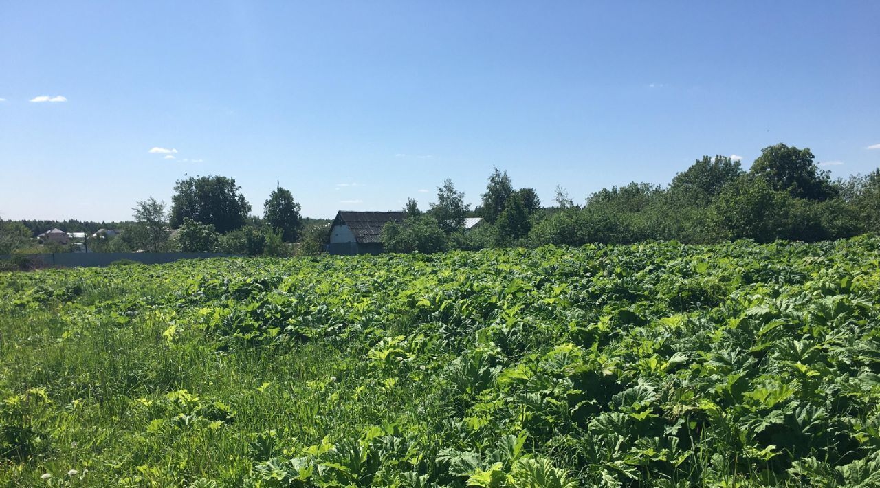 офис городской округ Пушкинский д Цернское фото 1