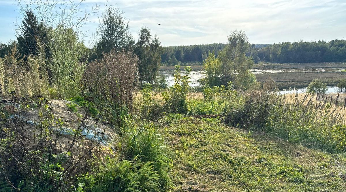 офис городской округ Богородский д Боровково фото 1