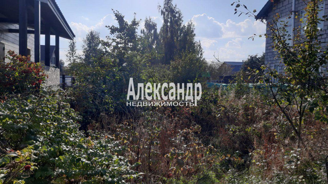 земля г Сестрорецк р-н Курортный 23-я дорожка, Ленинградская область фото 1