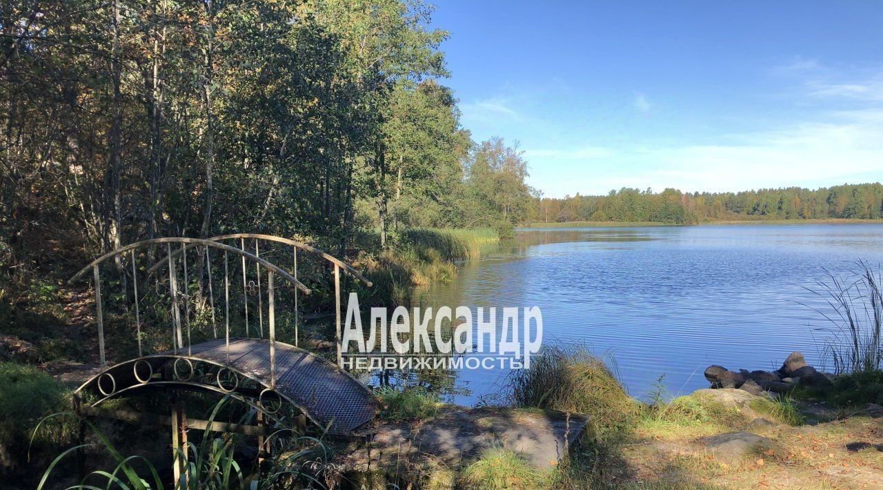 земля р-н Приозерский п Боровое Кузнечнинское городское поселение фото 9