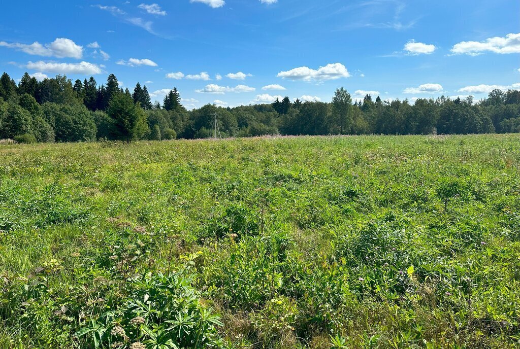 земля городской округ Истра д Нижневасильевское фото 29