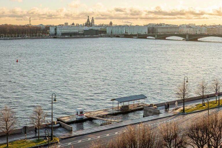 квартира г Санкт-Петербург р-н Петроградский ул Мичуринская 1 Посадский округ, Ленинградская область фото 8