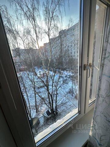 Московская область фото