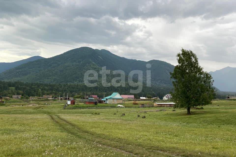 земля р-н Усть-Коксинский п Кучерла ул Ленина фото 3