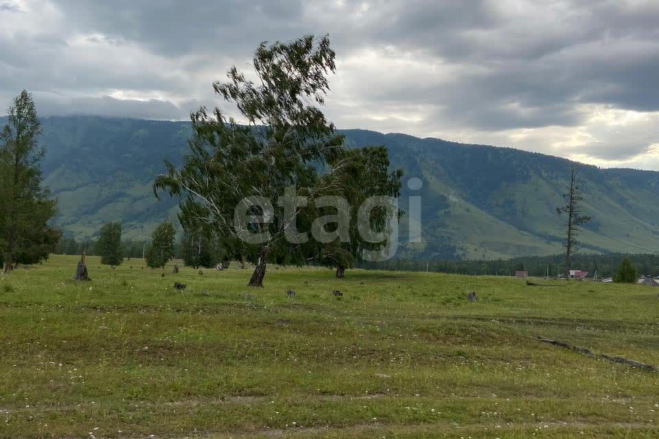 земля р-н Усть-Коксинский п Кучерла ул Ленина фото 2