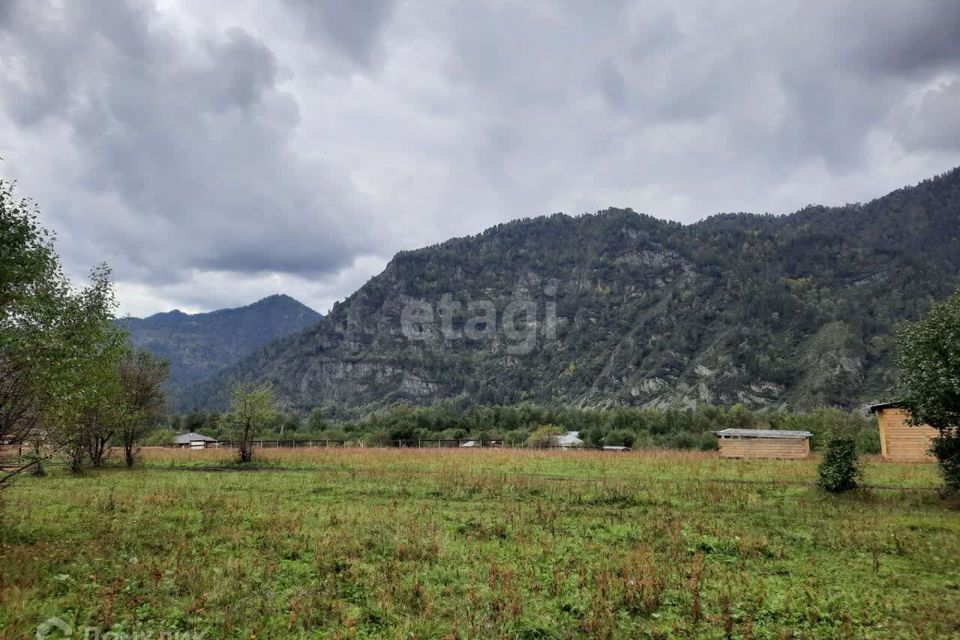 земля р-н Чемальский село Узнезя фото 7