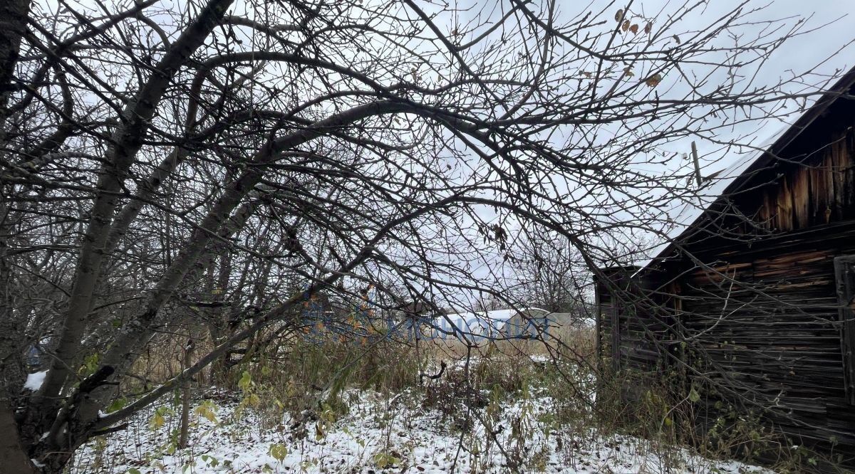 земля г Нижний Новгород Парк культуры р-н тер. СНТ Надежда - Автозаводский фото 4