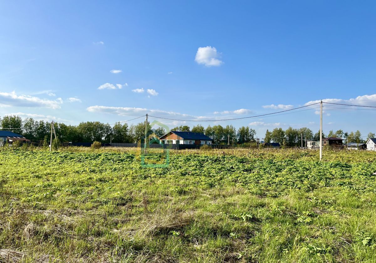 земля р-н Тосненский снт тер.Ижорец- 2 Московское шоссе, 21 км, Тельмановское городское поселение, Красный Бор фото 6