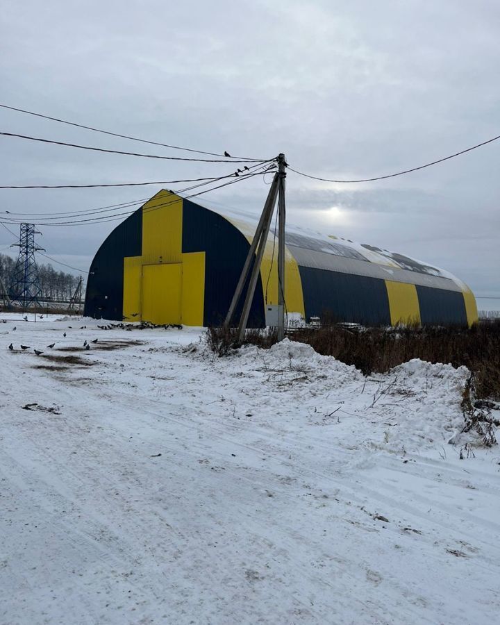 свободного назначения городской округ Кашира фото 12