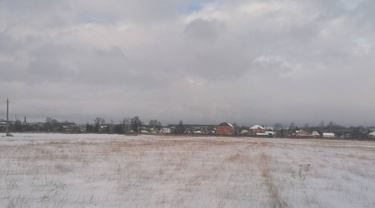 земля городской округ Раменский с Давыдово фото 1