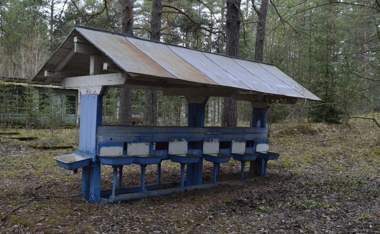 общепит, отдых р-н Лужский г Луга мкр Шалово Лужское городское поселение фото 13