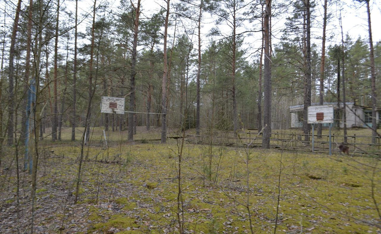 общепит, отдых р-н Лужский г Луга мкр Шалово Лужское городское поселение фото 18