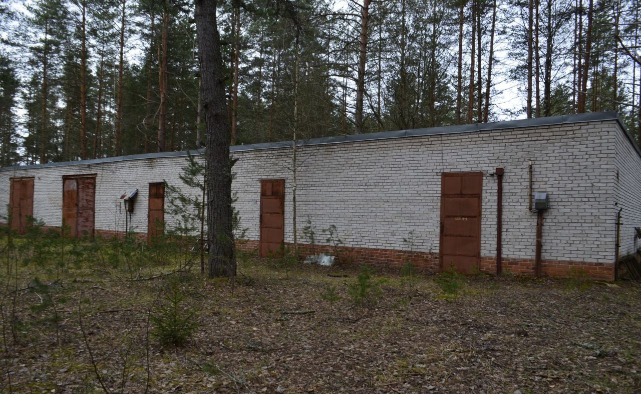 общепит, отдых р-н Лужский г Луга мкр Шалово Лужское городское поселение фото 30