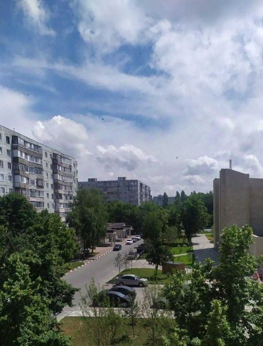квартира г Старый Оскол микрорайон Жукова 1 фото 15