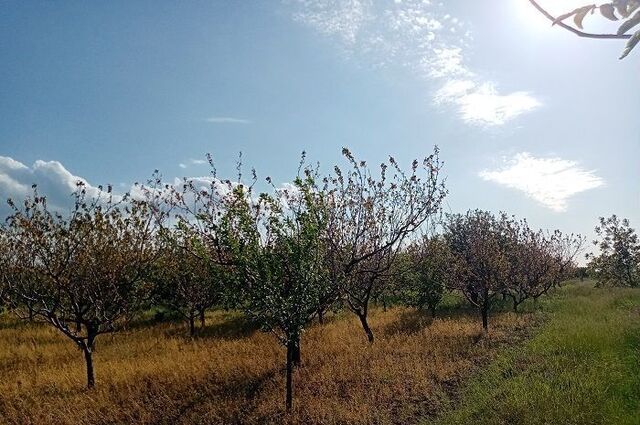 Магазинское сельское поселение, Красноперекопск фото