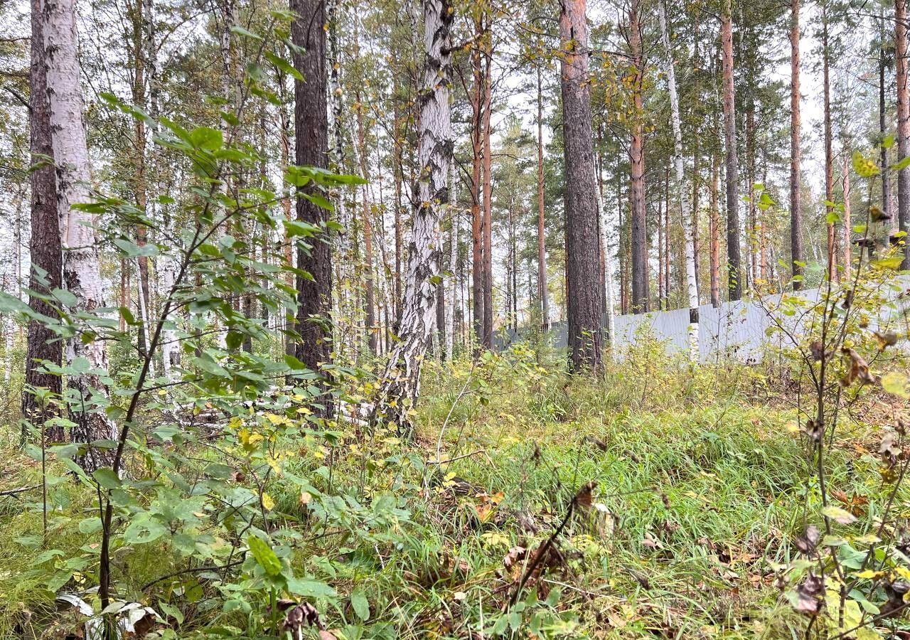 земля р-н Иркутский снт Строитель-2 Ушаковское муниципальное образование, 121, Иркутск фото 5