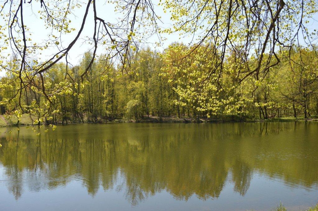 гостиницу городской округ Клин д Ясенево Литовский бульвар, 3А, Москва фото 27