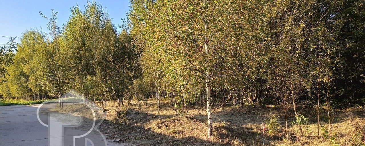 земля городской округ Солнечногорск 9768 км, садовые участки, Пятницкое шоссе фото 4