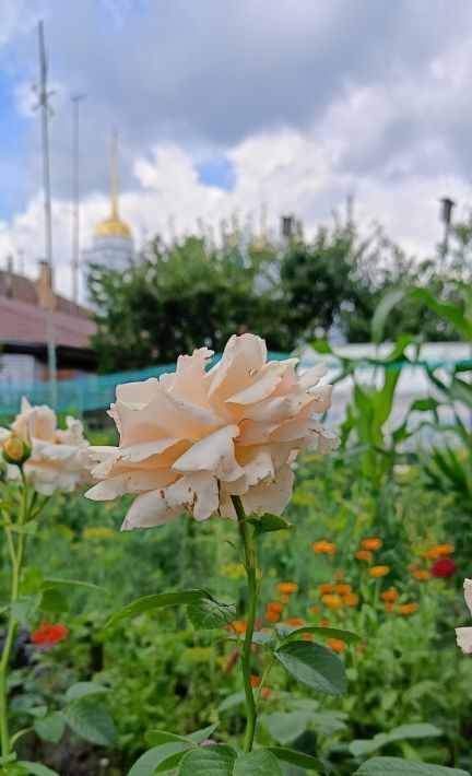 дом г Нижний Новгород Парк культуры посёлок Гнилицы ул Гнилицкая 4 фото 15