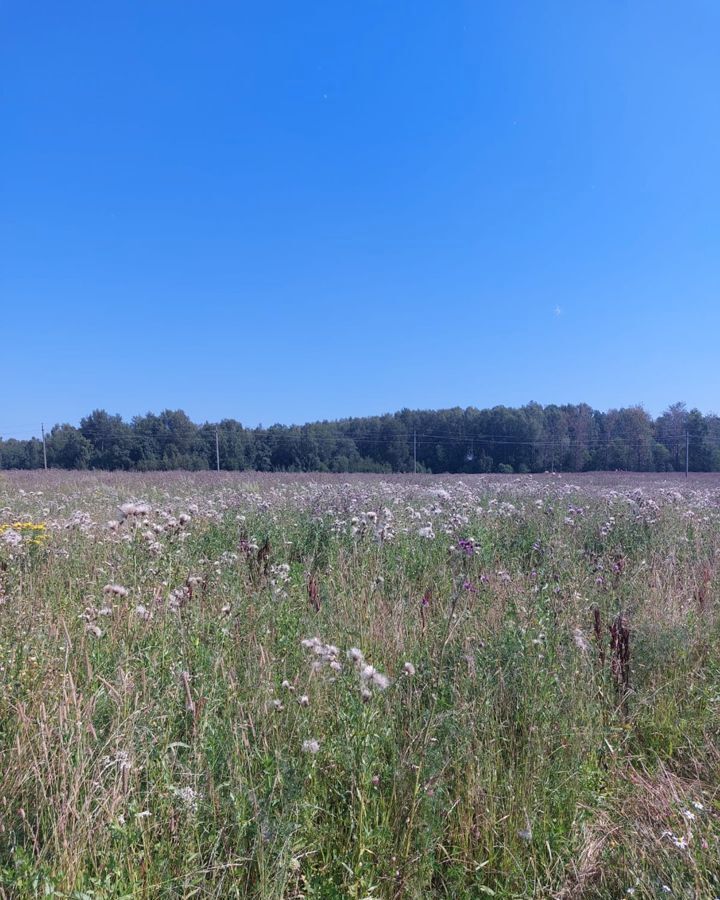 земля городской округ Можайский д Артёмки 102 км, Можайск, Минское шоссе фото 1