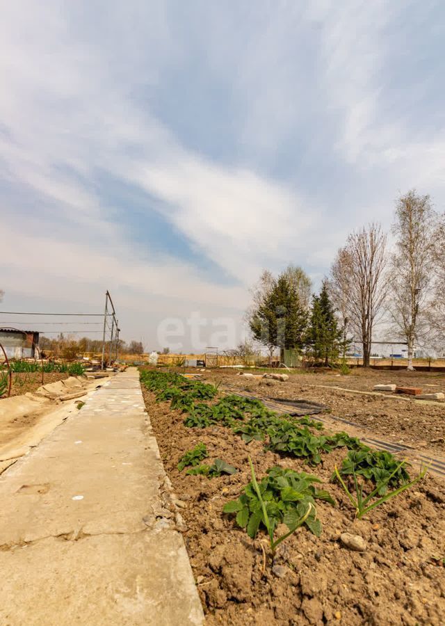 дом р-н Хабаровский снт Метролог Хабаровск фото 33