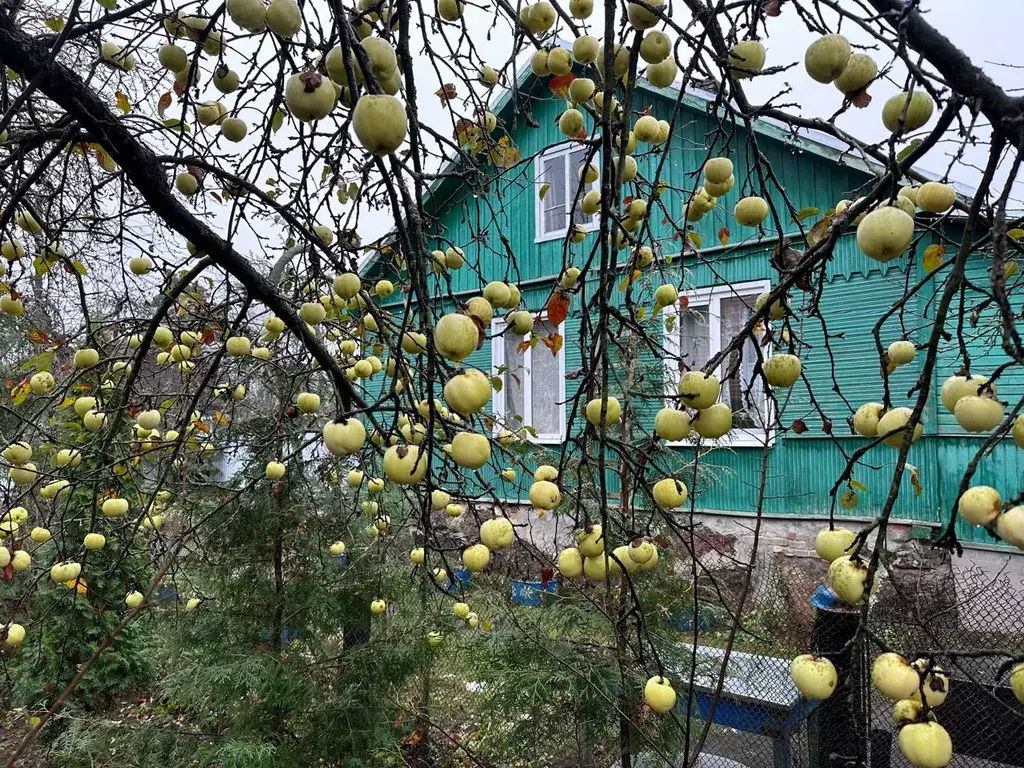 дом р-н Приозерский п Сосново ул Дорожная 9 фото 1