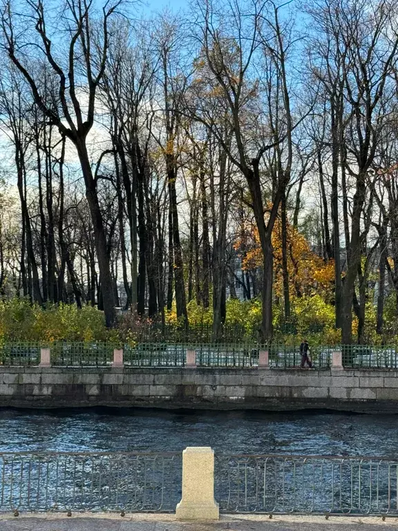 квартира г Санкт-Петербург метро Чернышевская ул Чайковского 2/7 Ленинградская область фото 28