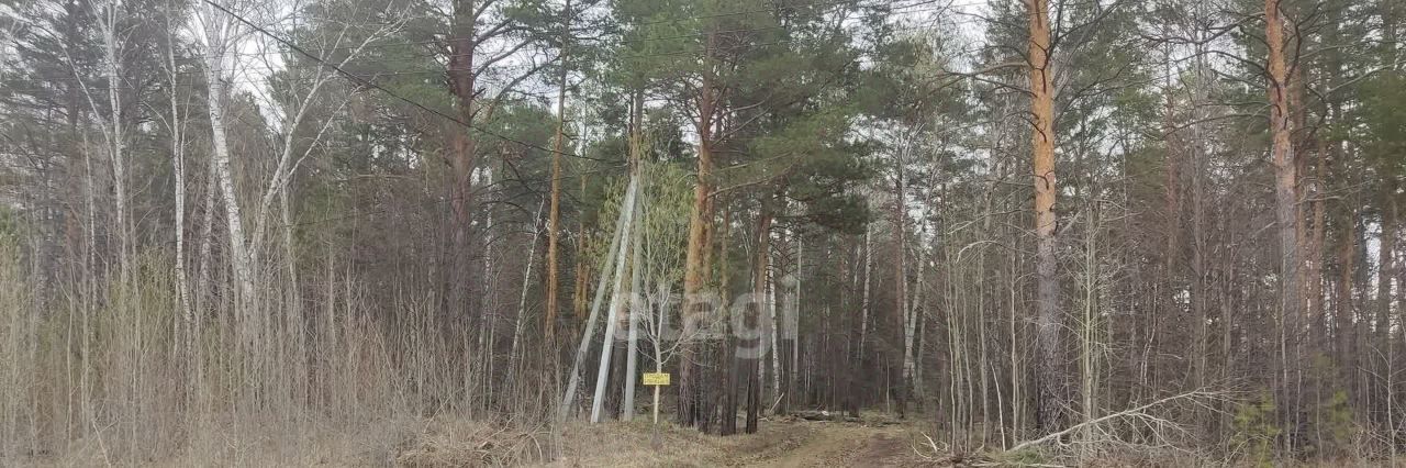 земля р-н Нижнетавдинский с Тюнево ул Полевая фото 17