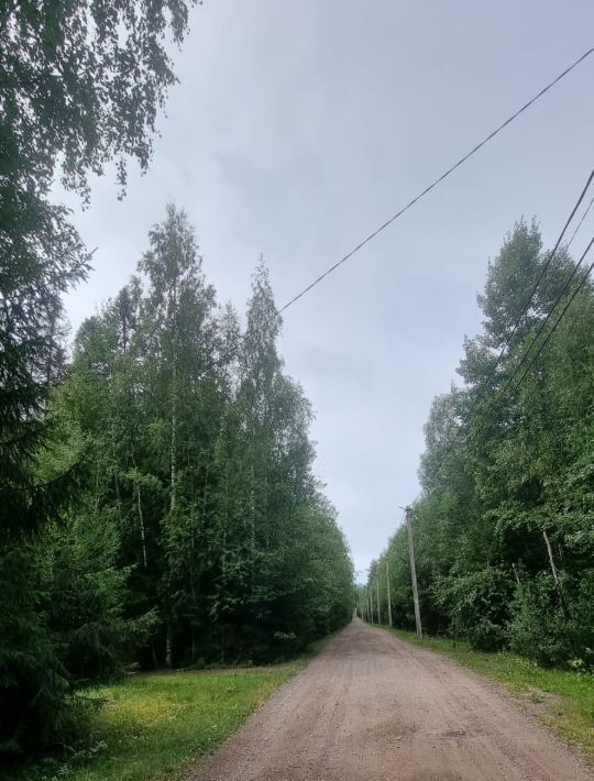 земля р-н Выборгский снт Лебедь Рощинское городское поселение фото 3